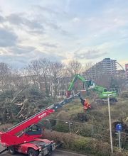 Baum & Forst Tiege Bild 1