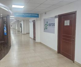 Dr. Armando Martinez Arriaga | Cirugía Avanzada de Rodilla imagen 7