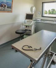 Clinique Vétérinaire Des Noes image 1