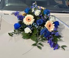 Blumen Haider Bild 16