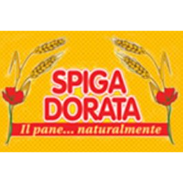 Spiga Dorata Srl logo