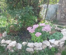 Jardin Passion image 1