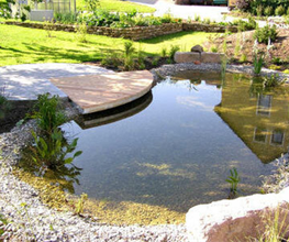 Gartenwelt Buchstaller Bild 2