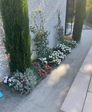 Alpes Jardins Tirozzini Paysagiste Bild 6