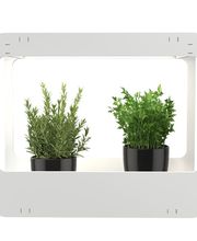 SaatGut Hassler Bild 4