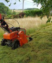 Jardins Arborés image 7