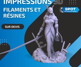 Spot Informatique image 2