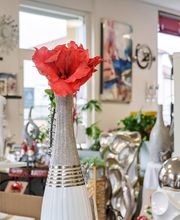 Panarotto SARL image 4