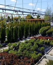 Kienzle Garten GmbH Bild 2