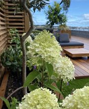 Créanature image 11