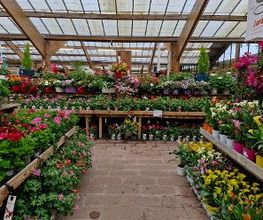 JARDILAND image 2