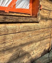 Theo Mazzetti image 5