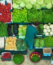 Roos Früchte, Gemüse und Tiefkühlprodukte Bild 4