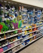 Feeders Pet Supply image 10