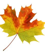 Herbst Beratung & Planung GmbH Bild 6