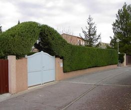 Iris Jardin image 7