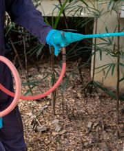 commercial pest control