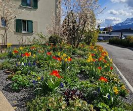 Pius Gloggner Gartenbau AG Bild 5