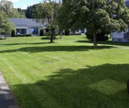 Grünblick | Garten- und Objektpflege Bild 3