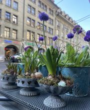 petite fleur gmbh Bild 7