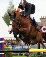 Ecuries Sylvain Frère image 4