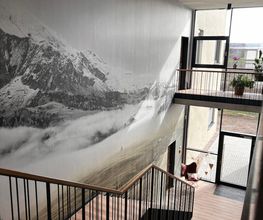 ALPENWAHNSINN Bild 6