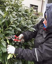 Rothenbühler Gartenbau AG Bild 1