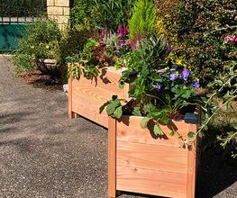 Mon Petit Potager image 2