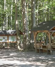 FriedWald Planitzwald Bild 6