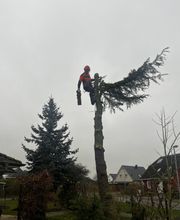 HDS Hausmeisterdienste Falko Stange Bild 3