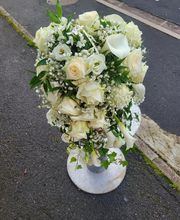 Delphiflore image 12