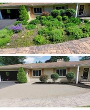 Fiorella Lawn & Landscaping image 6