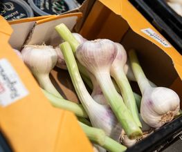 11_rewe_obst-gemuese_4