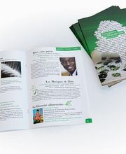 Julien Boudaud - Conception & Design Graphique image 8