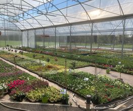 Dessapt Horticulture image 6