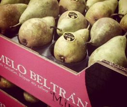 frutas-y-verduras-carmelo-beltran-minis-05.jpg