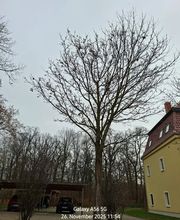 WEGA Garten & Landschaft Bild 4