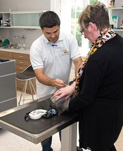 Tierklinik Obergrund AG Bild 1