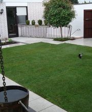 Thomas Stiller Bild 1