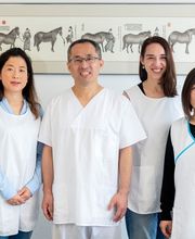 Zhao TCM Spiez GmbH Bild 3