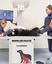 Röntgengerät  in Medivet Tierarztpraxis Unterhaching