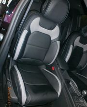 Sellerie Du Nord image 6