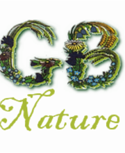 GB Nature image 2