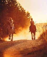 Hipica la melgosa imagen 1