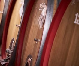 Weingut Hubertus M. Apel Bild 8