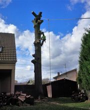 Rp Espaces Verts 77 image 1