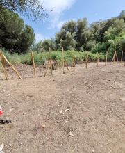 AP ESPACES VERTS image 2