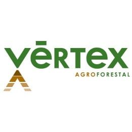 VERTEX.jpg