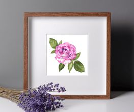 Bioartsense Aquarelle Bild 3