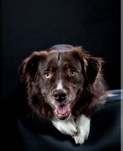 FotoStube Hornig Inh. Sebastian Kassner Bild 14